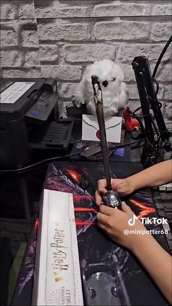 Unboxing de Varitas Mortífagos de Harry Potter