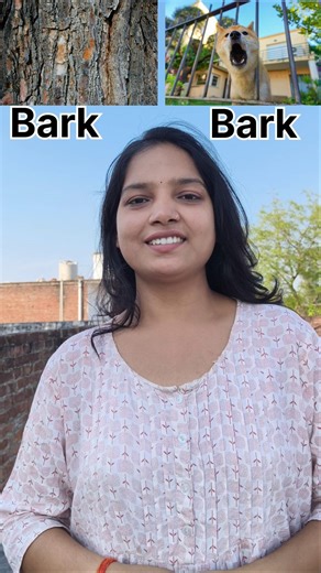 “Homonyms in English 🔥 Same Words, Different Meanings! (Bat, Light, Bark & More)”