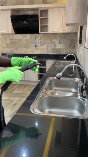 Deep Cleaning Kitchen Surfaces with Steam
