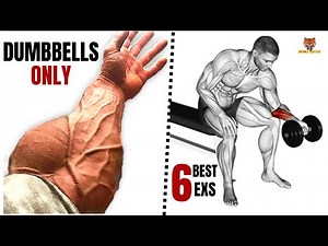 6 BEST Exercises for Bigger Forearms at Gym WITH DUMBELLS ONLY