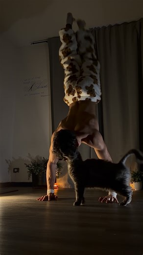 luca on Instagram: "Workout with my cat . . #cat #gym #fitnesse #calistenichs #gymmotivation"