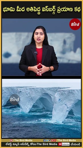 భూమి మీద అతిపెద్ద ఐస్‌బర్గ్ ప్రయాణ కథ | #iceberg #story #interstingfacts #birdmedia
