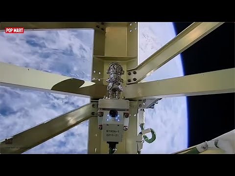 MEGA SPACE MOLLY is officially blasting off into space! 🚀