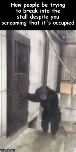 And then they only realize you're in there after they break down the door entirely