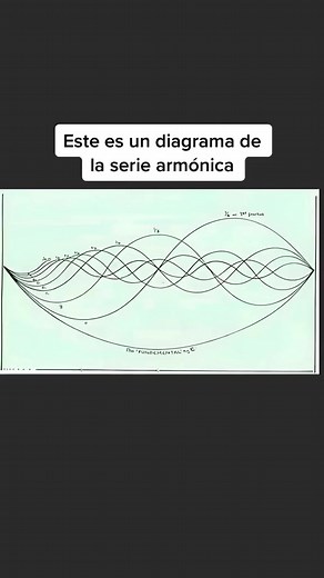 34K views · 1.5K reactions | La serie armónica es un patrón...