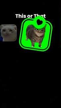 I'm a whole auto clicker