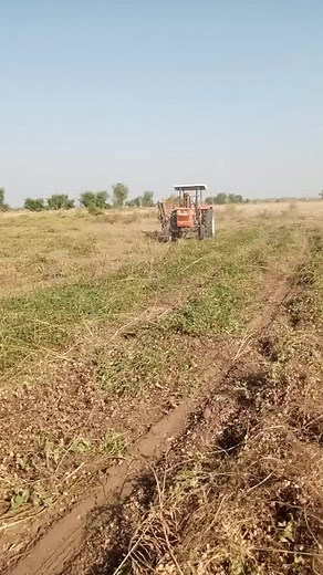 Tractor Operator in Action: Farming Techniques Demonstrated