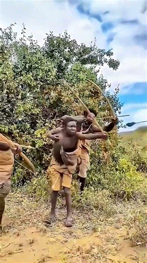 African Wilderness Hunt | Deer#africa #hunting #wildlife #jungle