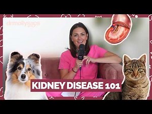Kidney Disease in Pets: Symptoms, Causes & Treatment