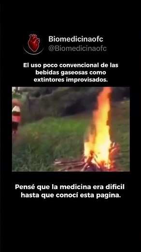 ¡REACCIÓN EN CADENA! El Desplazamiento de Oxígeno mediante Presión ✨