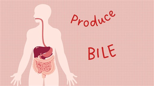 how to naturally produce BILE