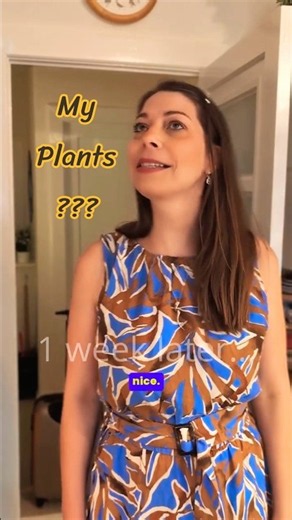The worst plant sitter ever 😭