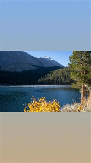 2K views · 95 reactions | Rock Creek Lake fall colors taken by Kim Espinosa on Monday. A great area to adventure with a campground here and manly hiking trails. We did the Tamarack Lakes hike from here not to long ago with scenic views of the mountains along the way. Have you been here before? | Adventures With Jeff Martinez | Facebook