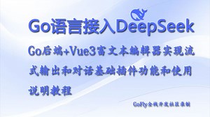 DeepSeek API接入Go语言开发框架集成插件功能和使用说明
