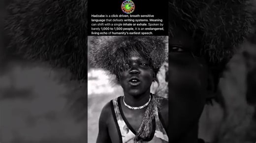 Sound And Rhythm Create Structure In An Endangered Language Spoken By Only A Few Hundred People | Paul Farrell