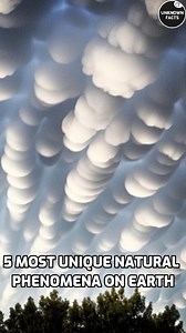 5 Most Unique Natural Phenomena on EARTH | Unknown Facts