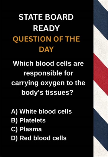 Getting ready for the State Board exam? Try our 25-question practice exam. 📌 Check the pinned comment for all link