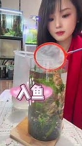 Set up a desktop aquarium in 5 minutes: a step-by-step tutorial for beginners. Keep small fish an...