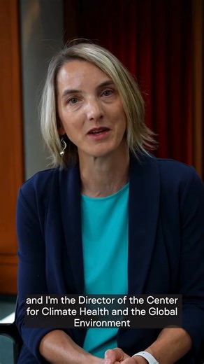 Do Environmental Protection Agency (EPA) regulations protect Americans’ health? Mary Rice, director of Harvard C-CHANGE, answers your questions in part one of this Q&A on the EPA’s origins and its impact on U.S. citizens’ health. If you have more questions for Rice or other environmental health experts at Harvard Chan School, leave them in the comments or send us a message. | Harvard T.H. Chan School of Public Health