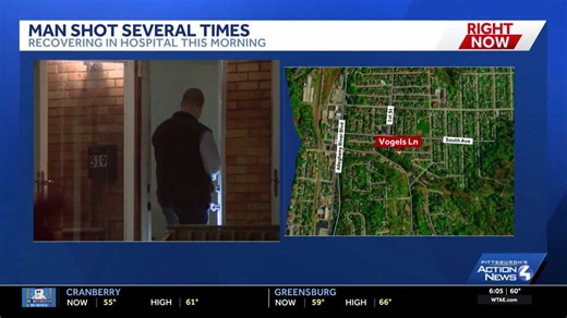 Shooting investigation in Verona, Allegheny County