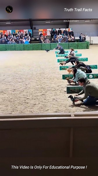 Everyone Ran Faster… But This Brave Dog Never Gave Up ❤️ #dog #race #tamil #viral