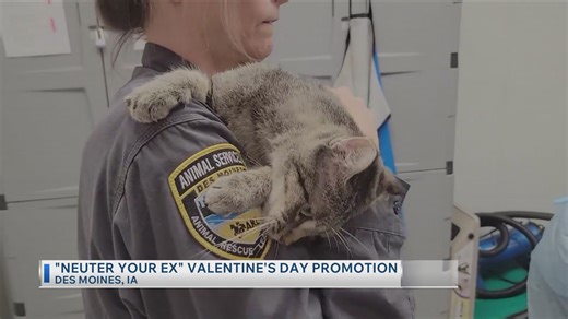 Neuter your ex Valentine's Day promotion