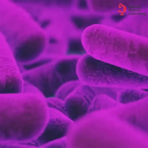Not all infections are visible 👀🦠 That’s why microbiology tests matter! From bacteria to fungi, these tests find the real cause of infection so doctors can give the right treatment on time ✅ Stay protected, stay healthy with Bahrain Medical Lab.** 📞 Call us now: 17255522 Follow us for more health updates & services. #BahrainMedicalLab #MicrobiologyTest #InfectionControl #HealthAwareness #StayHealthy #MedicalTesting #BahrainHealth
