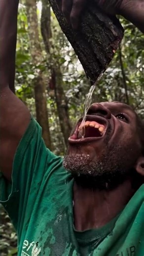 The Tree That Provides Drinking Water: How the Baka Tribe of Africa Survives