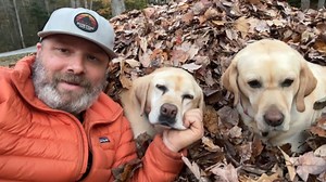 David Muir shares 2025's peak fall foliage as Americans leaf peep across the nation