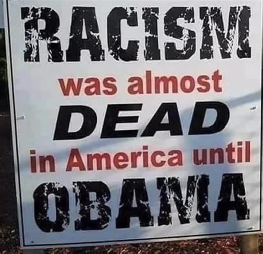 | Lisa Mel - Food and Travel Blogger, Political Commentator