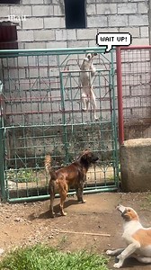 Boys time is non-negotiable 😂 | Daily Mail Video