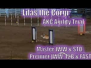 Mississippi Mavericks Agility Club - AKC Agility Trial - January 2023