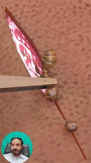 This Brutal Ant Suture Technique Actually Worked #ancient #healing #shocking