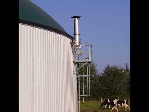 ‘Grass for Gas’- Are Anaerobic Digesters and Energy Farming a possibility for the Future?