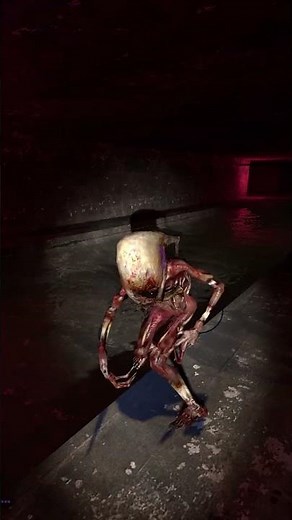 Headcrab Zombie Crashes Half-Life 2?