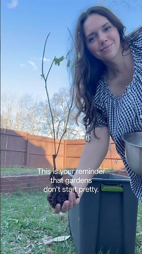 How We Planted Blueberries & Raspberries in Our Backyard Garden 🫐 soaking roots for planting (pt 1)