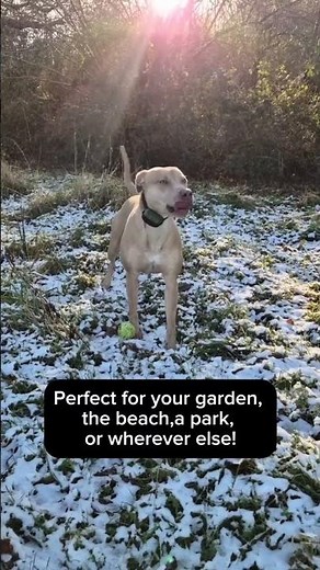 Wireless Dog Fence for Big Yards? Up to 5.6 Acres*