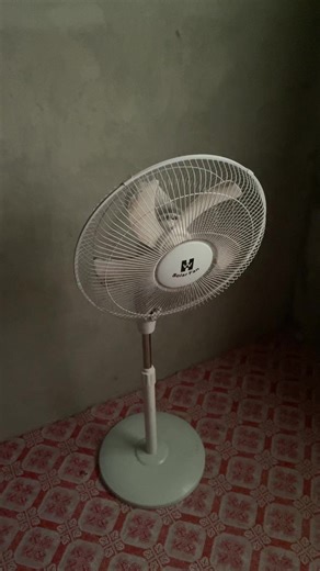 A lie mi bomboclatt tell#fypシ #bomboclaat