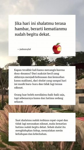 سينتا on TikTok