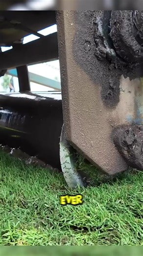 13K views · 32 reactions | Specialized machines cut and roll natural turf with surgical precision #SmartFarming #TurfHarvesting #EngineeringBeauty #fblifestyle | Life Hacks | Facebook