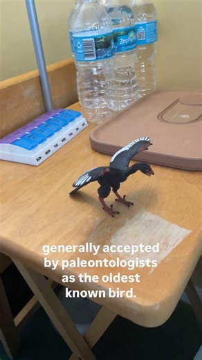 Chas Alaimo | Archaeopteryx looked a lot like a bird, leading to scientists initially thinking it was the first bird to appear in the age of the dinosaurs. | Instagram