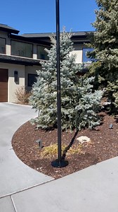 America’s Favorite Home Flagpole! Veteran Owned & Operated Flagpole Company. We make the strongest residential Flagpoles available. Made from 11 gauge aluminum and tested at 100 mph wind. | Old Glory Flagpole Co