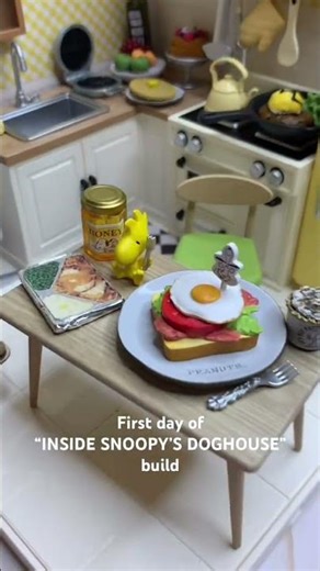 First day of “INSIDE SNOOPY’S DOGHOUSE”. build