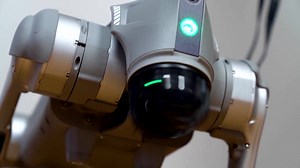 Swedish AI startup IntuiCell says it has created a robot dog named Luna that has a functional digital nervous system capable of learning and adapting like humans and many animals https://reut.rs/4iCXrjb | Reuters