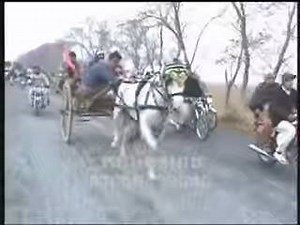 8.2K views · 150 reactions | JHOLY LAL VS FARARI HORSE RACE | Tanga maker | Facebook