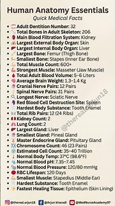 Human Anatomy Essentials | Quick Medical Facts for Students