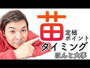 苗の定植ポイント【タイミングで差がつく作物作り】