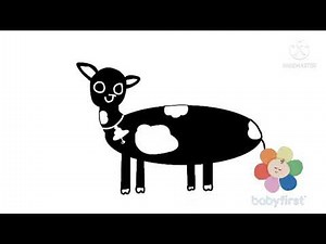 babyfirst black and white cow 1