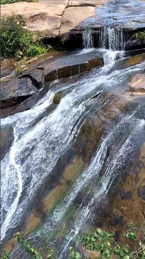 🌳🧭 Reedy River Falls Park Is A Must See #southcarolina #nativeamerican #history #travel #shorts