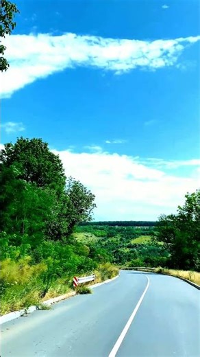 Calm and Peaceful Natural Scenery | Stress Relief Video